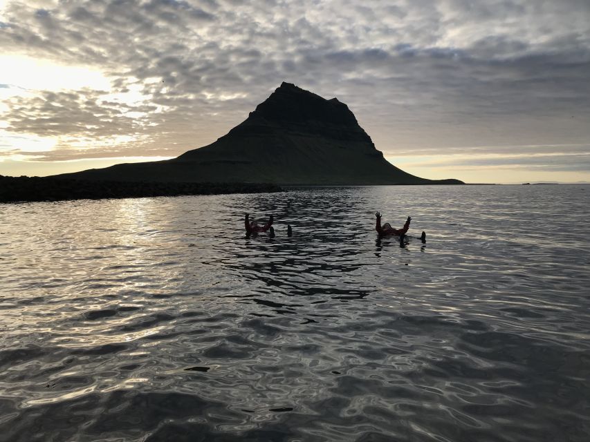 Grundarfjörður: Midnight Sun Kayaking Adventure - Seal Skerry and the local wildlife