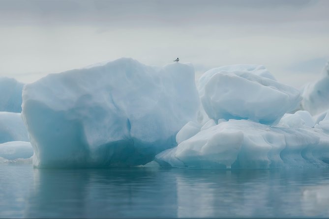 Guided Glacier Lagoon and Diamond Beach Day Trip from Reykjavik - Jökulsárlón: the reason to make the journey
