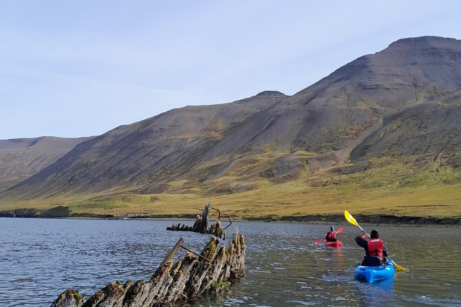 Guided kayak tour in Siglufjörður / Siglufjordur. - Why Siglufjörður works so well for kayaking