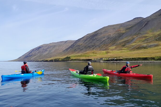 Guided kayak tour in Siglufjörður / Siglufjordur. - Who will enjoy this tour most