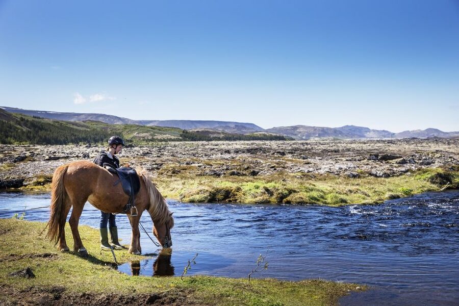 Hafnarfjörður: Horseback Riding Tour in Reykjavik Area - Quick points about this Hafnarfjörður horse ride