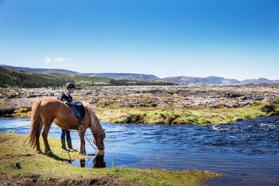 Hafnarfjörður: Horseback Riding Tour in Reykjavik Area - Starting at Íshestar in Hafnarfjörður