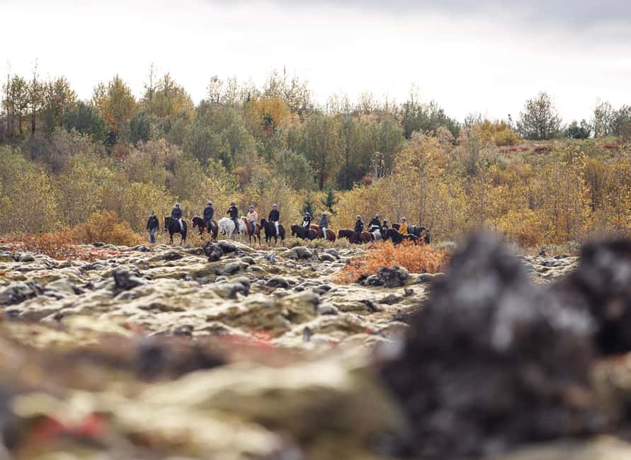 Hafnarfjörður: Horseback Riding Tour in Reykjavik Area - The guide makes the short outing worthwhile