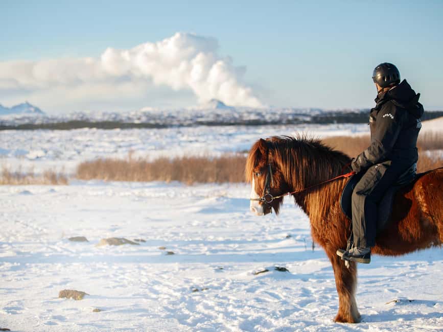 Hafnarfjörður: Horseback Riding Tour in Reykjavik Area - Warm drinks and time with the horses