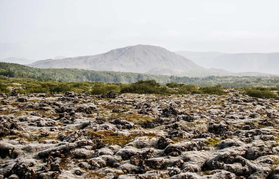 Hafnarfjörður: Horseback Riding Tour in Reykjavik Area - Who should book this ride?