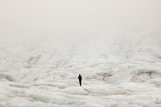 Half-Day Vatnajokull Glacier Small Group Tour from Skaftafell - From Skaftafell Terminal to the glacier