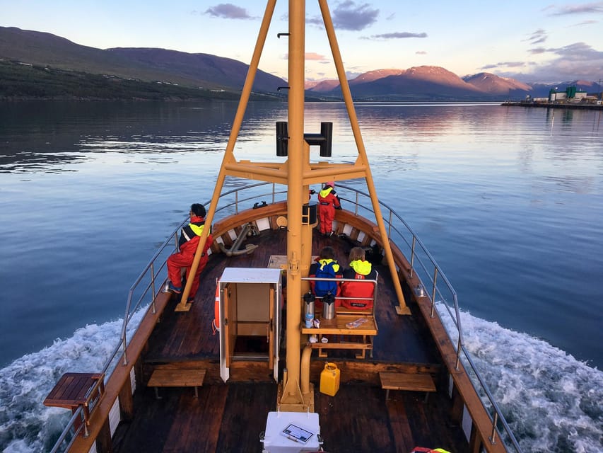 Hauganes: Whale Watching North Iceland - Key points to know before you book