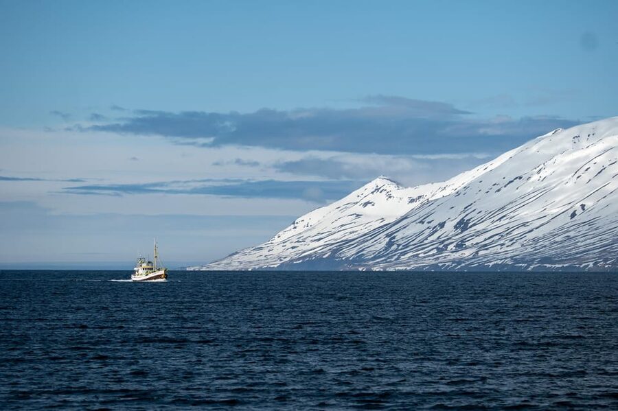Hauganes: Whale Watching North Iceland - Why Hauganes is a smart whale-watching base