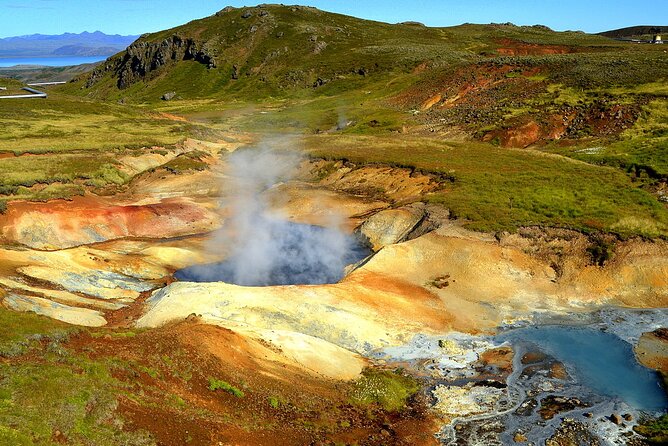 Helicopter tour from Reykjavik: Hengill Area with at site landing - Landing at the Hengill geothermal area