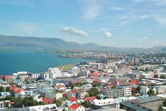 Helicopter tour from Reykjavik: Hengill Area with at site landing - Nesjavallavirkjun from the air