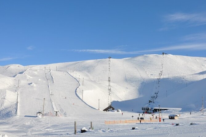 Helicopter tour from Reykjavik: Hengill Area with at site landing - Flying over the Hellisheiði Plateau