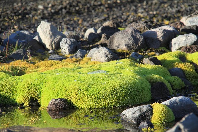 Highlights of Iceland / private guided super Jeep tour - Hraunfossar, water from the lava