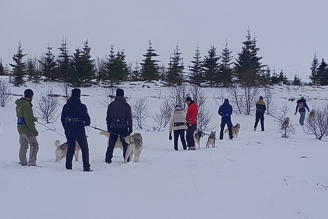 Hiking with Husky in Akureyri - Getting ready for the hike