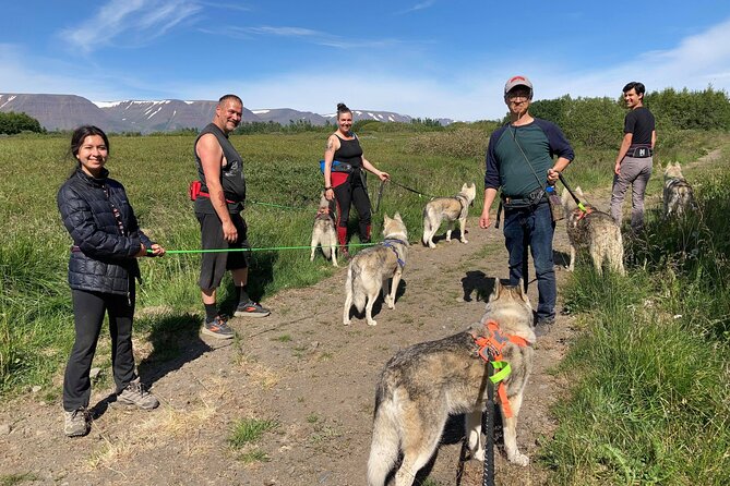 Hiking with Husky in Akureyri - Who will enjoy this most