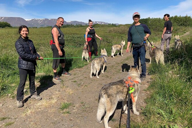Hiking with Husky in Akureyri (private) - Pickup From Akureyri and the Short Drive Out