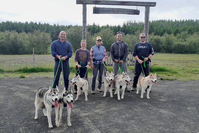 Hiking with Husky in Akureyri - Meeting the pack at home