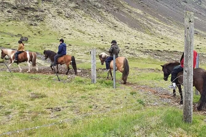 Horse Riding Tour in Reykjadalur (Smoky Valley)-All Riding Levels - A calm start for first-time riders