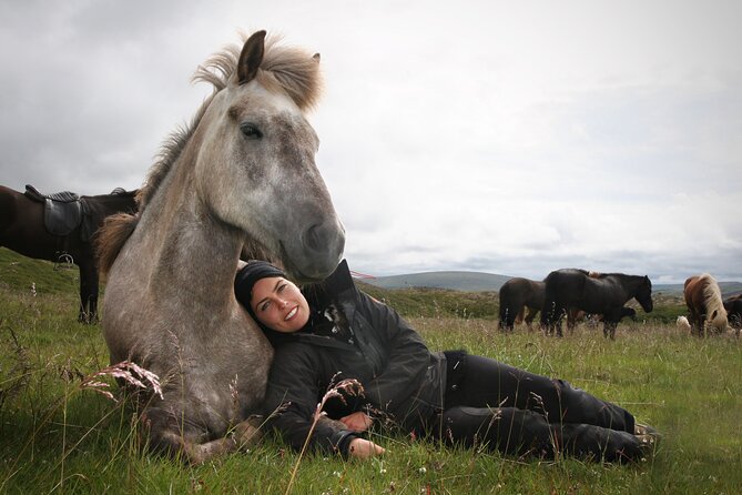 Horseback Riding Tour in Iceland - Bláfjöll views and open country