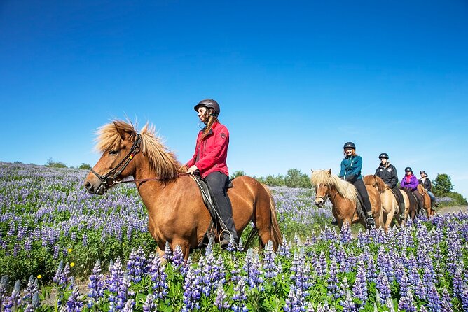 Horseback Riding Tour in Iceland - What the 50-minute ride feels like