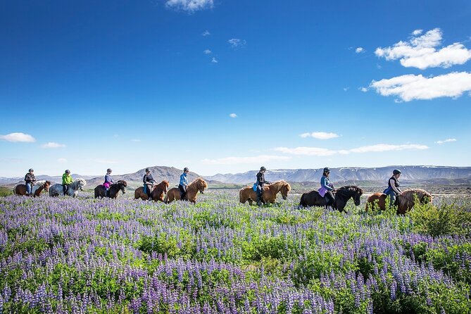 Horseback Riding Tour in Iceland - The guides and the beginner experience