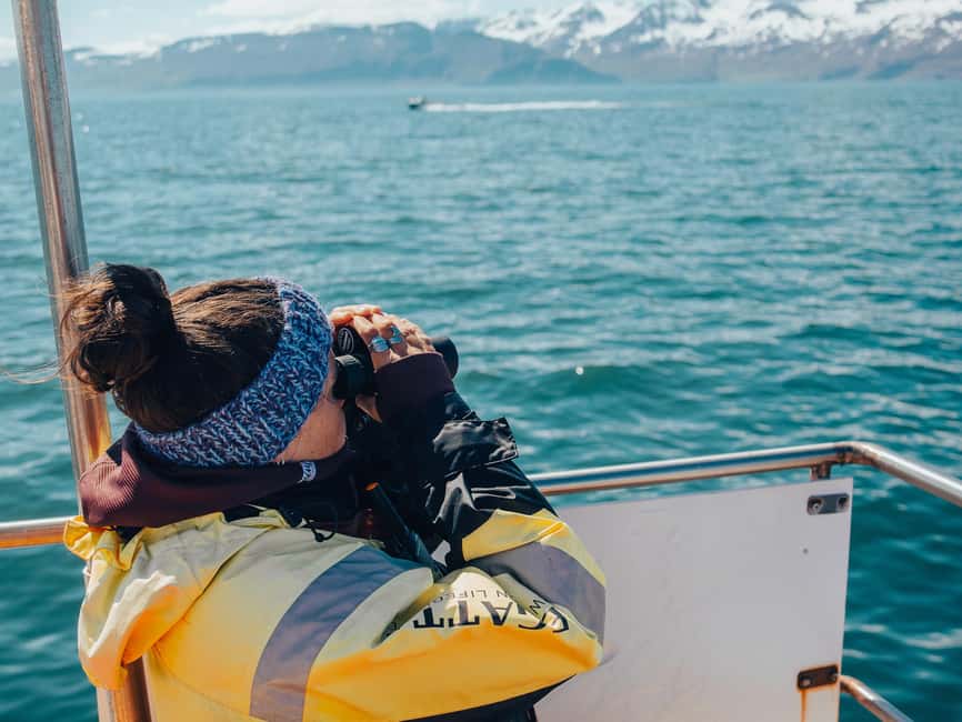 Húsavík: Family-Run and Guided Whale Watching Tour - Who should book this Húsavík tour?