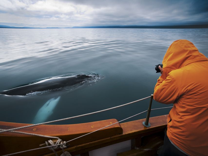 Husavik: Whale Watching on a Carbon Neutral Oak Boat - Warm Overalls and the Right Clothing
