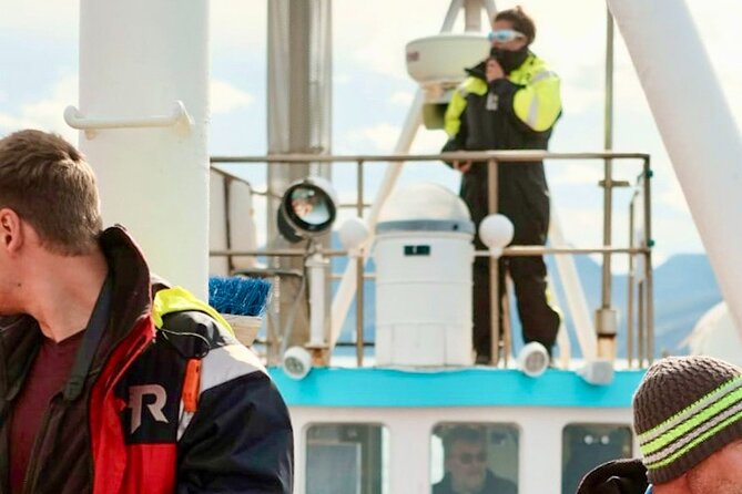Húsavík Whale Watching Tour, family owned and operated - What whale watching really looks like