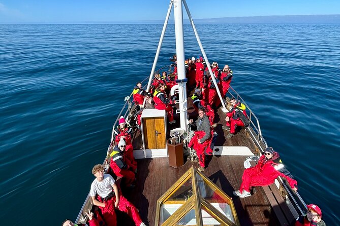 Húsavík Whale Watching Tour, family owned and operated - Respectful encounters with humpbacks and minke whales