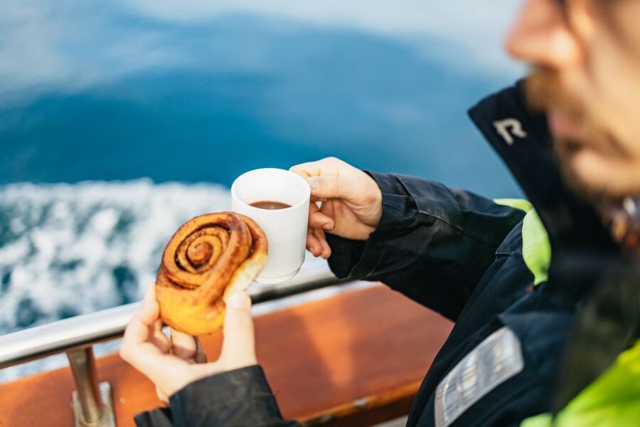 Húsavík: Whale Watching Tour with Guide - Three hours at sea, with real weather