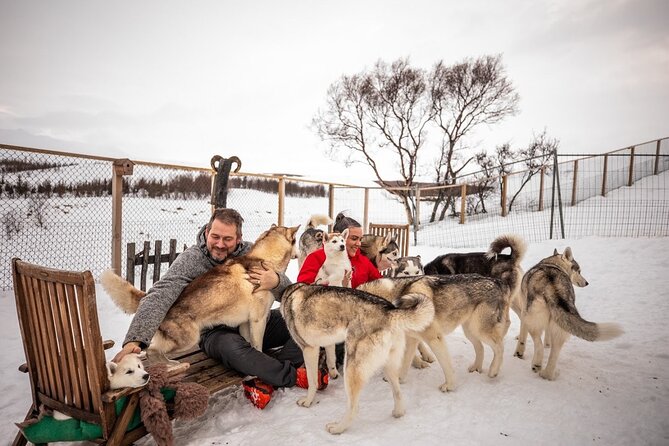 Husky Petting in Akureyri (private) - Key points before you book