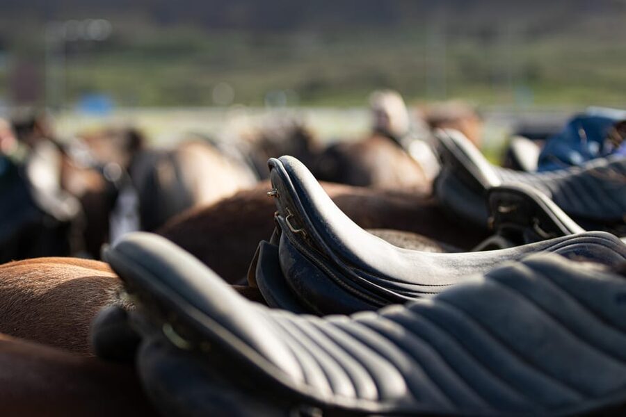 Hveragerdi: Countryside Charm Horse Riding Tour - A gentle introduction at Vellir farm