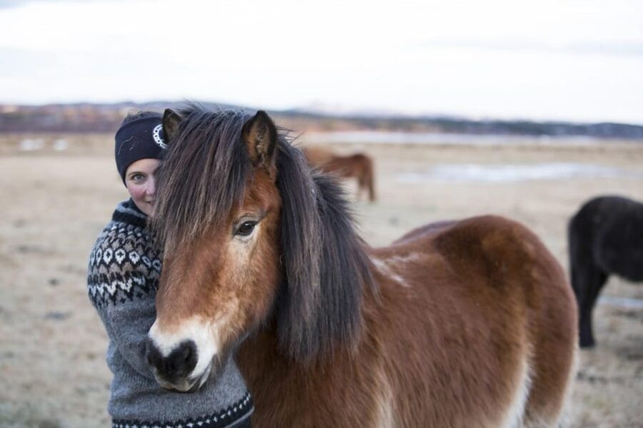 Hveragerdi: Countryside Charm Horse Riding Tour - Should you book the Hveragerdi countryside ride?