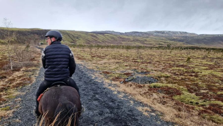 Hveragerði: Horseback Riding Tour for Beginners and … - What makes this Hveragerði ride worth your time