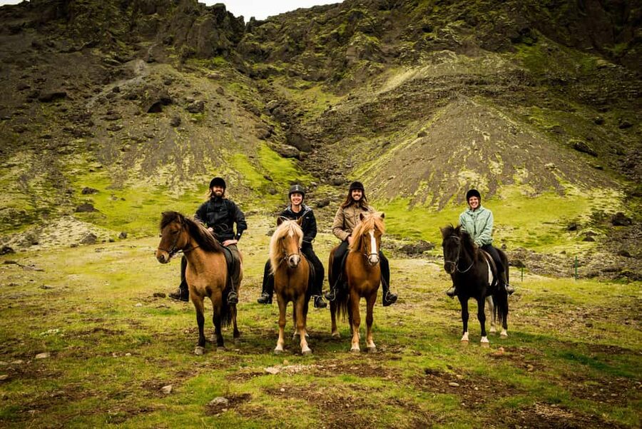 Hveragerði: Horseback Riding Tour for Beginners and … - Meeting the Icelandic horses at Sólhestar