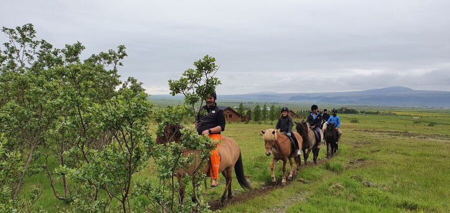 Hveragerdi: Reykjadalur (Hotspring Valley) Horse Riding Tour - Key points before you book