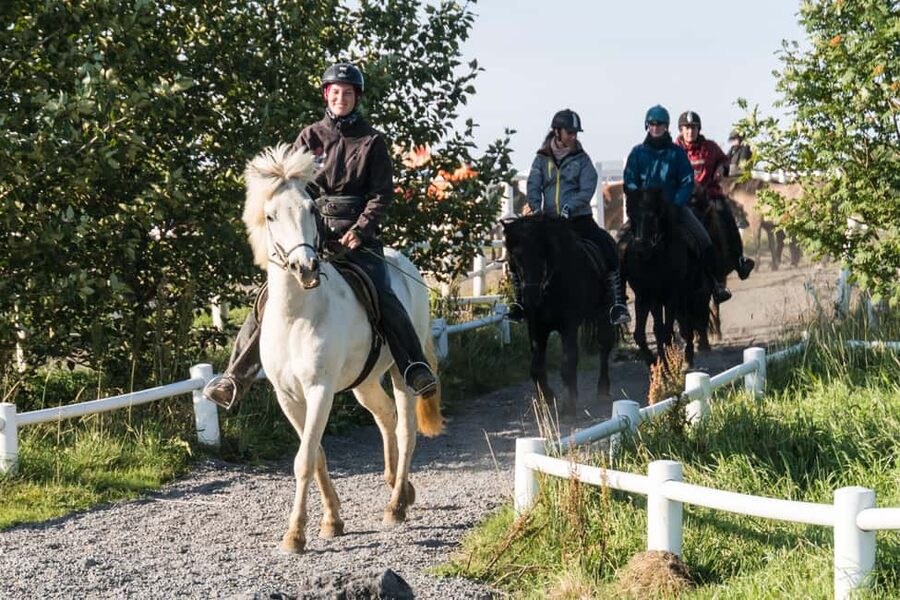 Hveragerdi: The Siggi Horse Riding Tour - What makes this ride worth your time