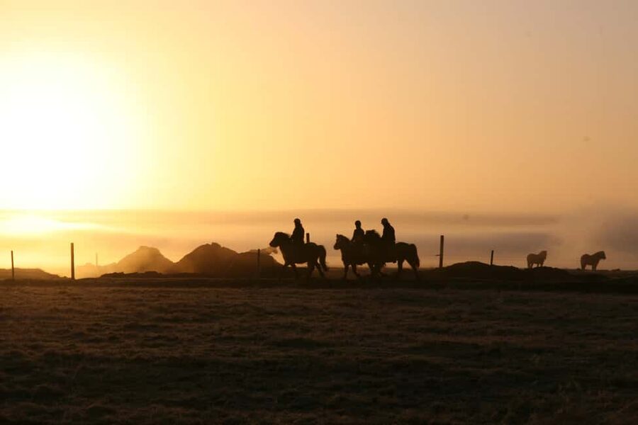 Hveragerdi: The Siggi Horse Riding Tour - Riding across the Varmá River and lava fields