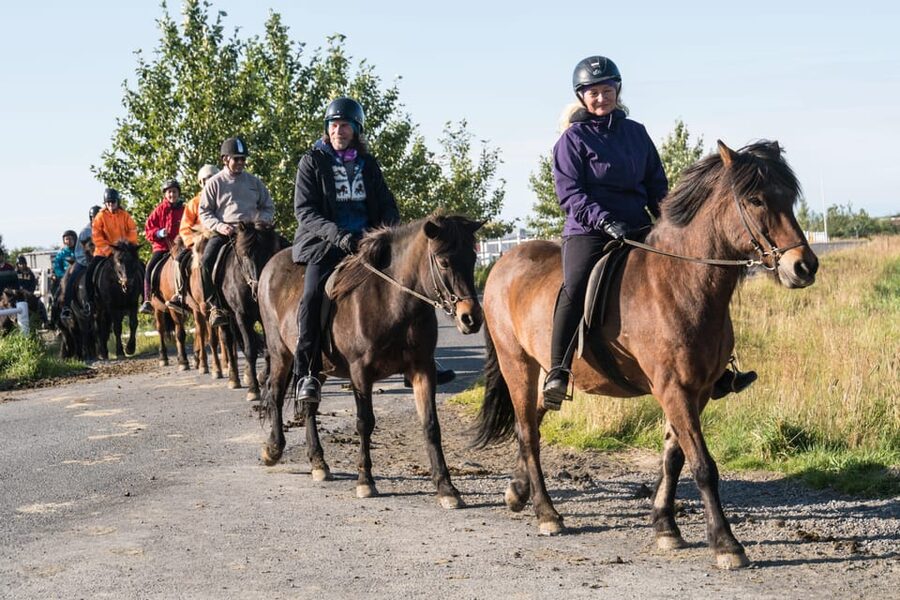 Hveragerdi: The Siggi Horse Riding Tour - Reaching the meadows south of the farm