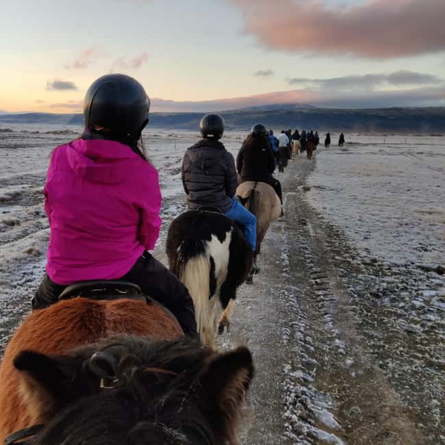 Hveragerdi: The Siggi Horse Riding Tour - What the scenery gives you