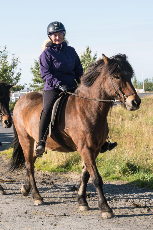 Hveragerdi: The Siggi Horse Riding Tour - Who should book the Siggi ride?