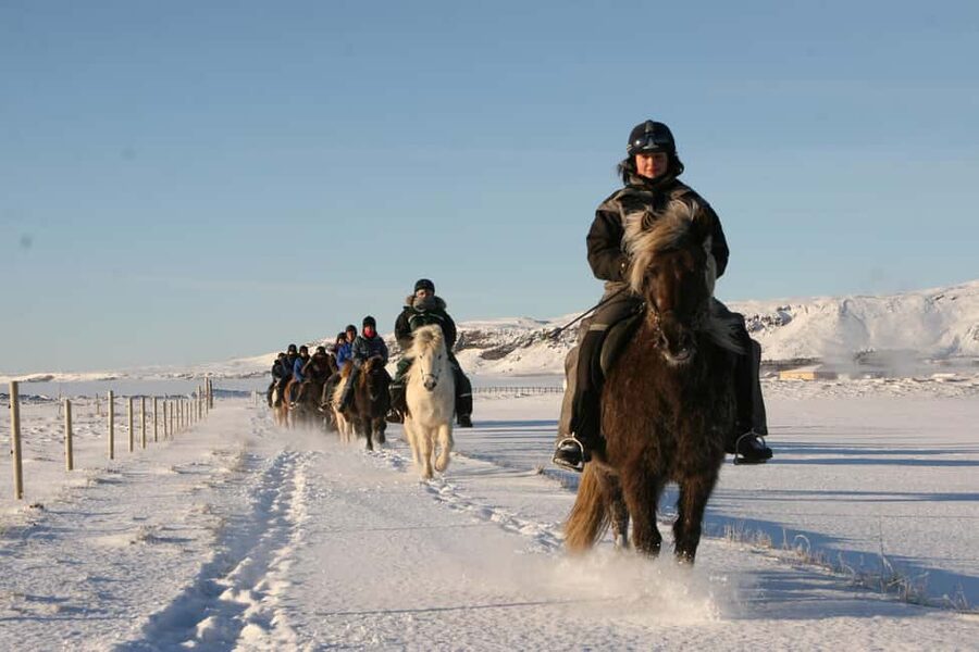 Hveragerdi: The Siggi Horse Riding Tour - Practical advice before you go