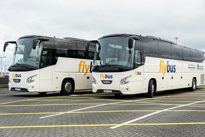 Iceland: Airport Transfers between Keflavik and Reykjavik Hotels - Key points to know before you book