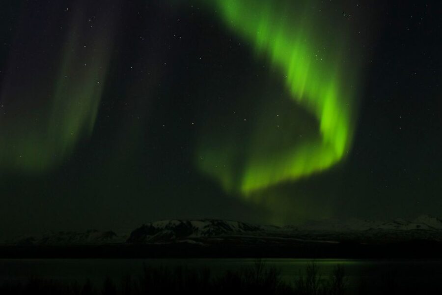 Iceland: Northern Lights Bus Tour from Reykjavik - Guides make the cold wait worthwhile