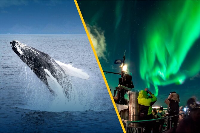 Iceland Super Saver: Northern Lights Cruise plus Whale-Watching Tour from Reykjavik - Rough water and seasickness concerns
