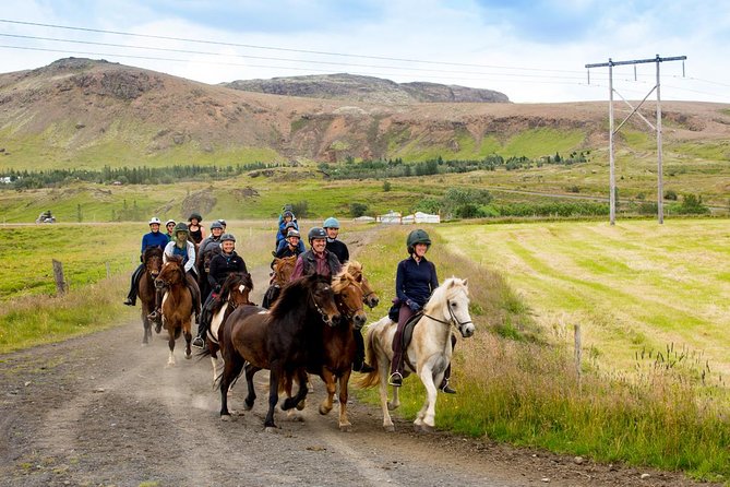 Icelandic Horse Riding and Whale Watching Cruise from Reykjavík - The long transfer from saddle to sea
