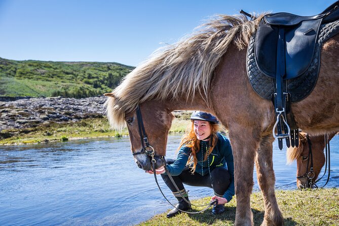 Icelandic Horse Riding and Whale Watching Tour from Reykjavik - Key points at a glance