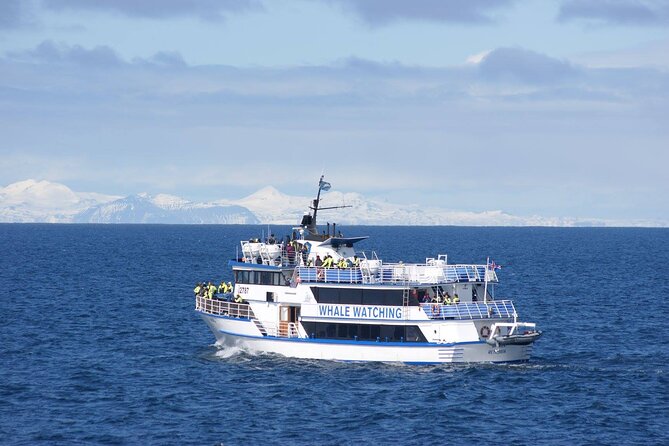 Icelandic Horse Riding and Whale Watching Tour from Reykjavik - Moving to Reykjavik Old Harbor