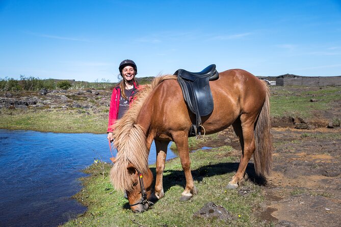 Icelandic Horse Riding and Whale Watching Tour from Reykjavik - Booking details worth checking first