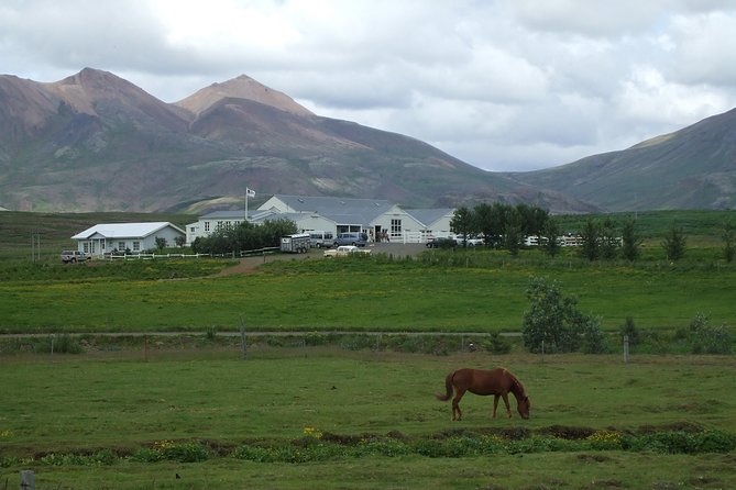 Icelandic Horseback Riding Tour Including Pick Up from Reykjavik - Getting fitted for the ride