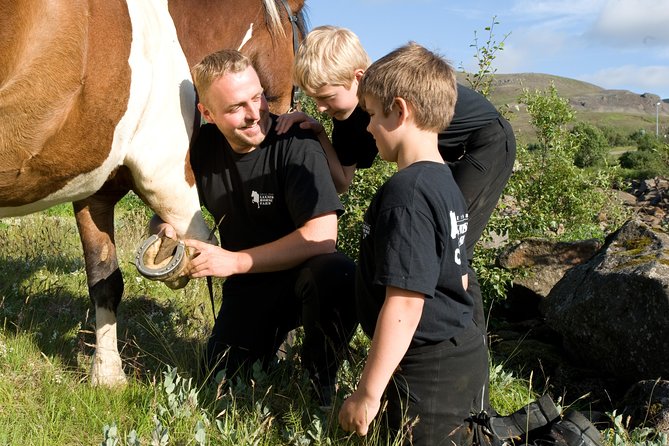 Icelandic Horseback Riding Tour Including Pick Up from Reykjavik - Streams, lava fields, and mountain views